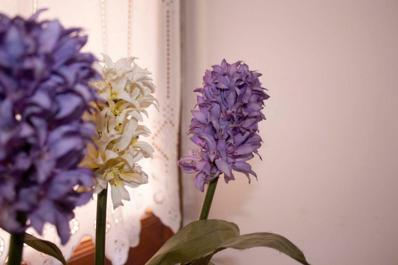 Aparthotel Iris Garden Retreat Corinth Zewnętrze zdjęcie